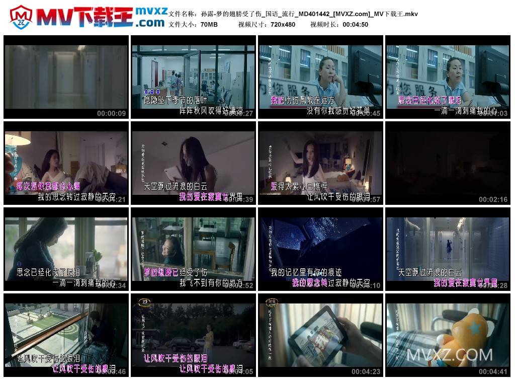 孙露-梦的翅膀受了伤_国语_流行_MD401442